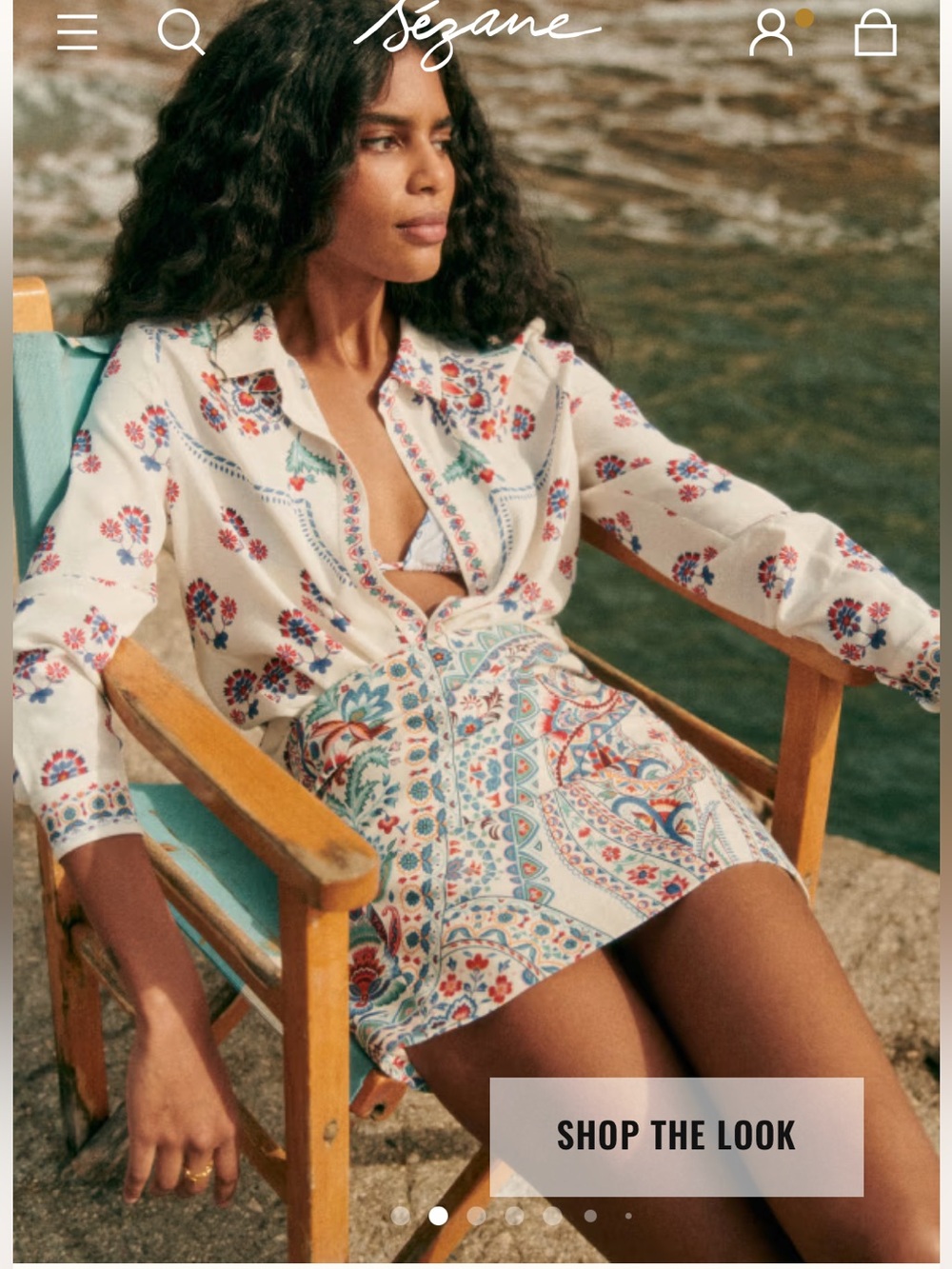 Sezane Ann Shirt in Milo Print (size EU36, US S)